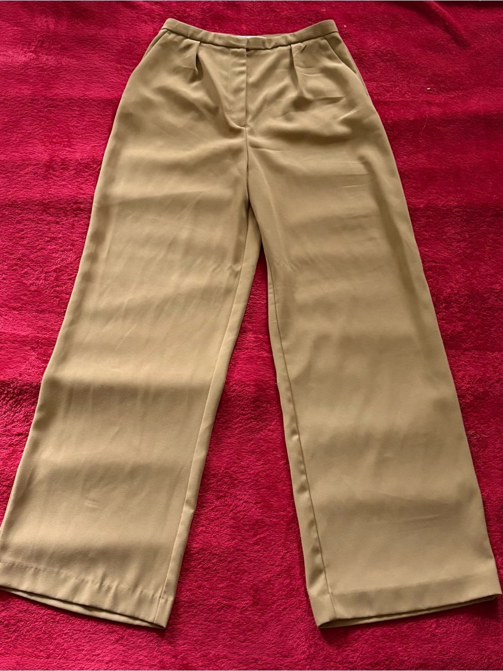 NWT Zara Pleated Crepe Wide Leg Trousers M Rust Taupe Brown